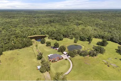 32839 Webbs Way, Sorrento, FL 32776 - Photo 41