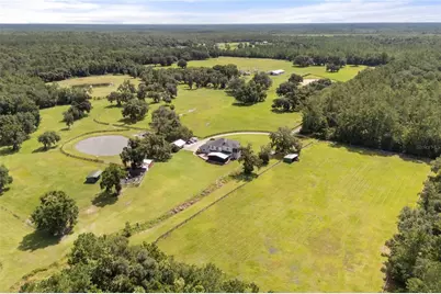 32839 Webbs Way, Sorrento, FL 32776 - Photo 37