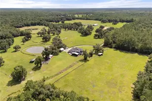 32839 Webbs Way, Sorrento, FL 32776 - Photo 37