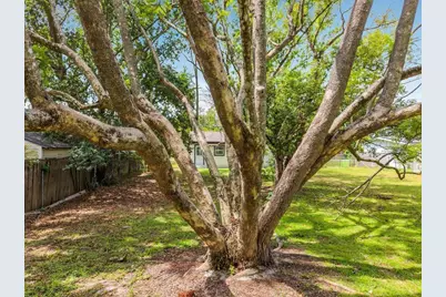 825 E Church Ave, Longwood, FL 32750 - Photo 55