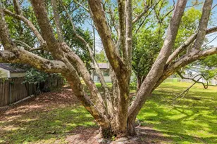 825 E Church Ave, Longwood, FL 32750 - Photo 55