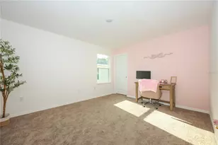 1137 Bradford Rdg Dr, Leesburg, FL 34748 - Photo 25