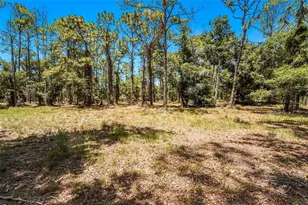 5650 Churchill Downs Rd, Sarasota, FL 34241 - Photo 95