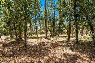 5650 Churchill Downs Road, Sarasota, FL 34241 - Photo 97