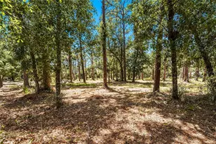5650 Churchill Downs Rd, Sarasota, FL 34241 - Photo 97
