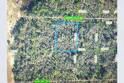 2917 Cherry Hills Road, Sebring, FL 33875 - Photo 1