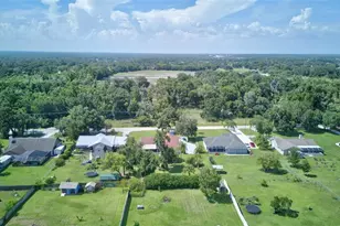 13007 Sydney Rd, Dover, FL 33527 - Photo 31