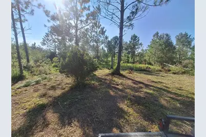 0 Unassigned Location Re, Perry, FL 32348 - Photo 1