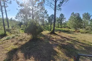 0 Unassigned Location Re, Perry, FL 32348 - Photo 1