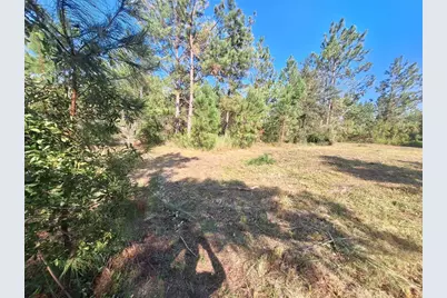 0 Unassigned Location Re, Perry, FL 32348 - Photo 7