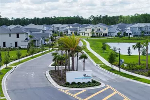 14422 Crest Palm Ave, Windermere, FL 34786 - Photo 29