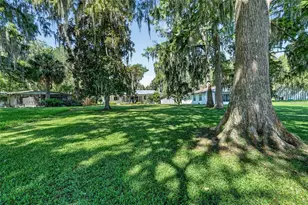 4136 Cr 400, Lake Panasoffkee, FL 33538 - Photo 37