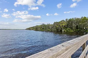 13 Verdure St, St Johns, FL 32259 - Photo 65