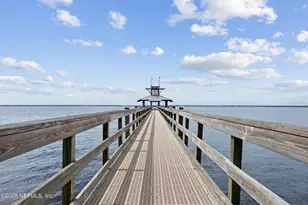 13 Verdure St, St Johns, FL 32259 - Photo 63