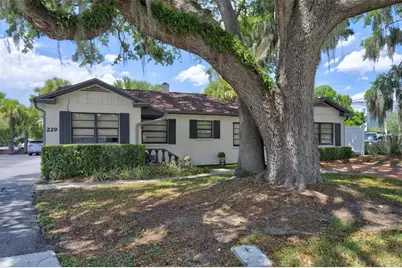 229 Pasadena Place, Orlando, FL 32803 - Photo 3
