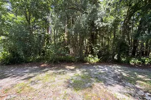 5720 Kneeland Ln, Tampa, FL 33625 - Photo 27