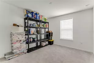 3205 Amaranth St, Tavares, FL 32778 - Photo 43
