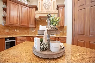11050 Coniston Way, Windermere, FL 34786 - Photo 15
