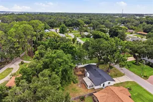 4146 Cactus Ln, Mount Dora, FL 32757 - Photo 39