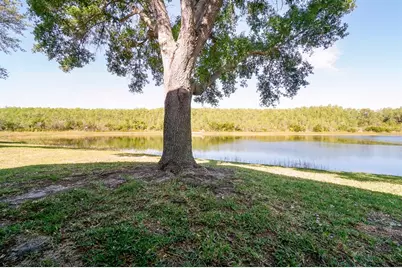 13518 Briarmoor Court, Orlando, FL 32837 - Photo 29