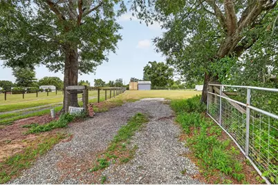 311 SE Highway 42, Summerfield, FL 34491 - Photo 37