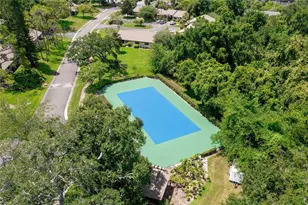 2917 Fig Ct, Palm Harbor, FL 34684 - Photo 39
