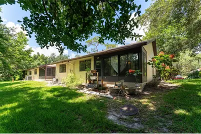 2917 Fig Court, Palm Harbor, FL 34684 - Photo 29