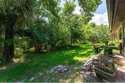 2917 Fig Court, Palm Harbor, FL 34684 - Photo 33