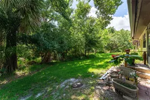 2917 Fig Ct, Palm Harbor, FL 34684 - Photo 33