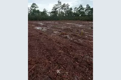 Fisher Way Track, Ocklawaha, FL 32179 - Photo 5