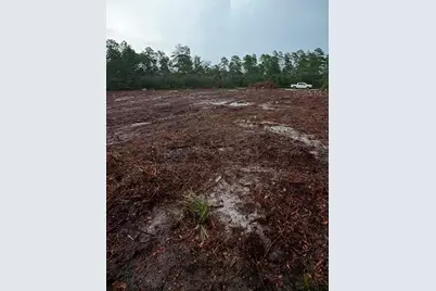 Fisher Way Track, Ocklawaha, FL 32179 - Photo 3