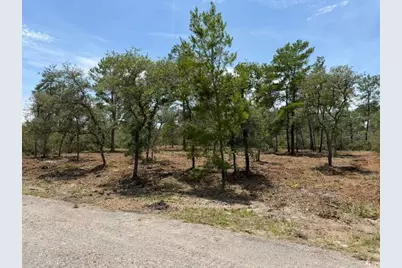 Fisher Way Track, Ocklawaha, FL 32179 - Photo 3