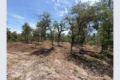 Fisher Way Track, Ocklawaha, FL 32179 - Photo 1