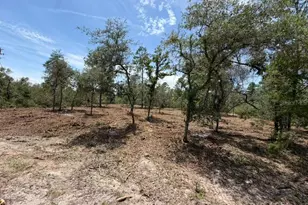Fisher Way Track, Ocklawaha, FL 32179 - Photo 1