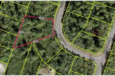 Fisher Way Track, Ocklawaha, FL 32179 - Photo 5