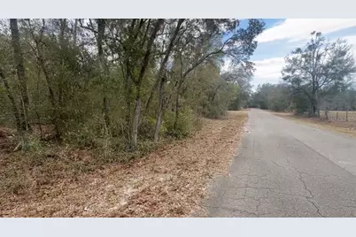 Fisher Lane Place, Ocklawaha, FL 32179 - Photo 3