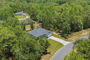 10735 N Malva Way Dr, Citrus Springs, FL 34434 - Photo 33