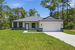 10735 N Malva Way Dr, Citrus Springs, FL 34434 - Photo 1