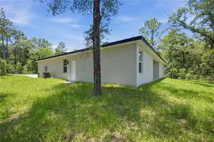 10735 N Malva Way Dr, Citrus Springs, FL 34434 - Photo 27