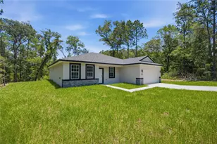 10735 N Malva Way Dr, Citrus Springs, FL 34434 - Photo 29