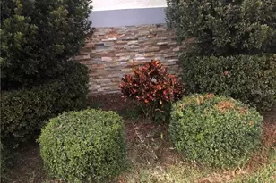 1313 Catherine St, Orlando, FL 32801 - Photo 19
