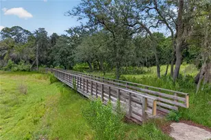 1113 Pearl Tree Rd, Deltona, FL 32725 - Photo 59