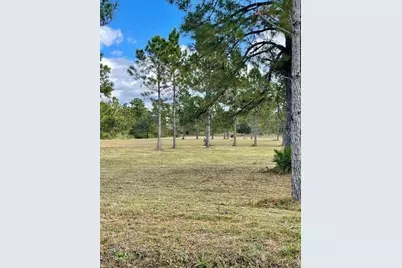 Caesar Avenue, Orlando, FL 32833 - Photo 3