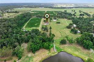 25895 Tilly Hawk Ln, Brooksville, FL 34602 - Photo 49