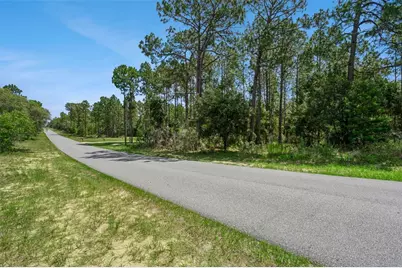 4181 W Malaluka Circle, Citrus Springs, FL 34433 - Photo 5