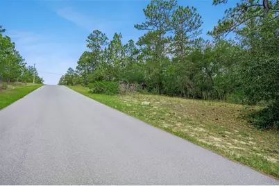 4181 W Malaluka Circle, Citrus Springs, FL 34433 - Photo 3