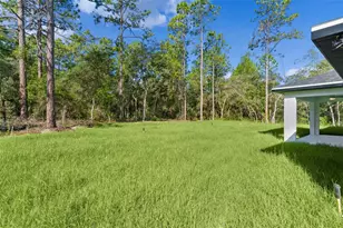 3228 W Camilo Dr, Citrus Springs, FL 34433 - Photo 37