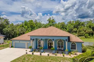 6053 Sabal Creek Blvd, Port Orange, FL 32128 - Photo 1