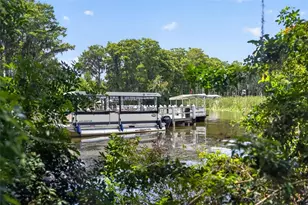 3284 Gorse Ct, Palm Harbor, FL 34684 - Photo 49
