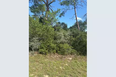 16698 SW 21st Circle, Ocala, FL 34473 - Photo 9